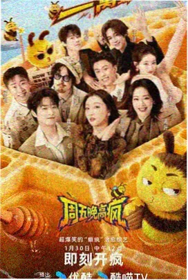 优雅综艺